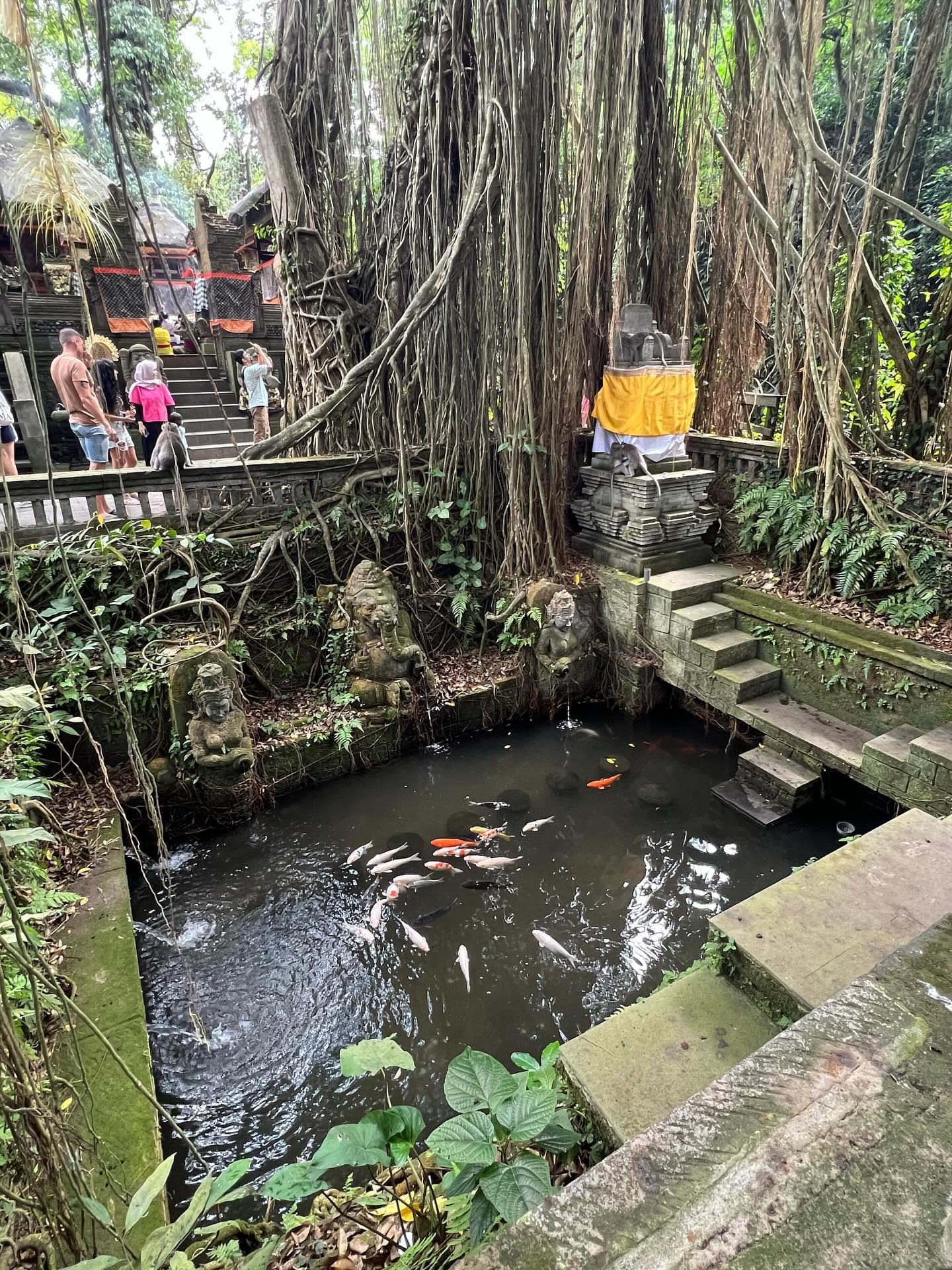 BALI