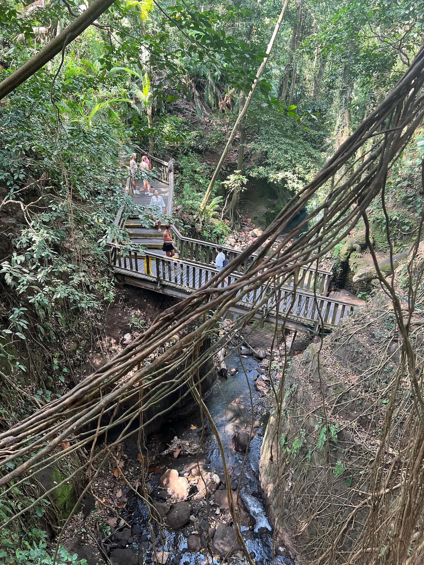 BALI